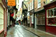 The Shambles