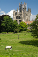 Ely Cathedral