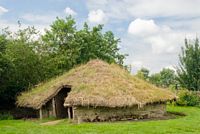 Flag Fen