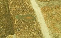 Queen Victoria's footstep, St Michaels Mount