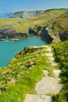 Paths along the cliffs, Tintagel