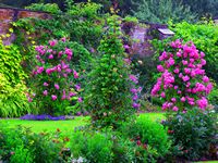 The Walled Garden