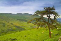 Kirkstone Pass