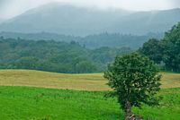 The views over the park towards Ambleside