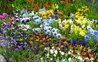Bradwellgarden