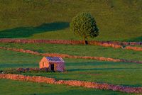 Fields at Chelmorton, Derbyshire Peak District