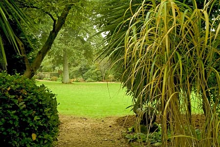 Victorian glade