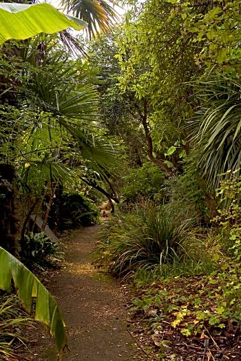Path through the gardens