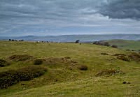 Abbotsbury Castle site