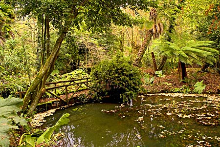 Abotsbury sub tropical gardens