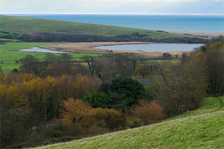 Abbotsbury Swannery and The Fleet