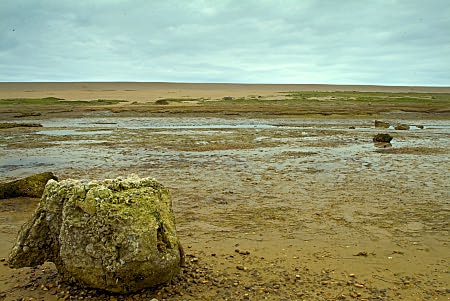 Ferrybridge