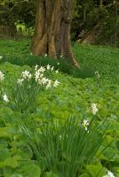 Photo of Newark Park, near Wotton under Edge, Gloucestershire.
