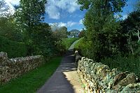 a quiet lane