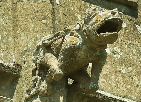 gargoyle