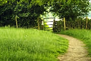 Pathway, Upper Slaughter