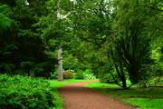 Loop Walk