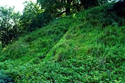 Deddington Castle