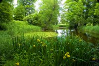 Minster Lovell Hall
