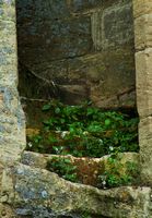 Minster Lovell Hall