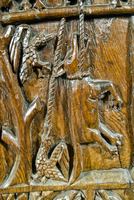 The abbot fox is hung by geese