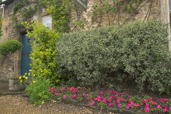 Stock photo of a tearoom in Lacock, Wiltshire. Part of the UK Travel and Heritage Image Library from Britain Express, Wiltshire Collection