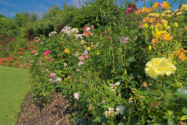 Photo of Abbey House Gardens, Malmesbury, Wiltshire. Part of the UK Travel and Heritage Image Library from Britain Express, Wiltshire Collection