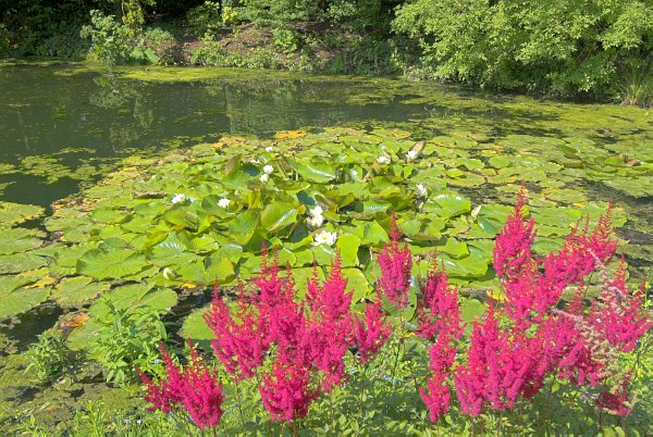 Photo of Abbey House Gardens, Malmesbury, Wiltshire. Part of the UK Travel and Heritage Image Library from Britain Express, Wiltshire Collection