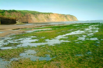 Robin Hoods Bay at low tide