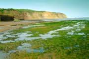 Robin Hoods Bay at low tide