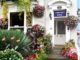 The White House Hotel Swansea