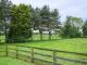 Image of The Paddock, York - Photo #10