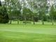Image of The Paddock, York - Photo #11