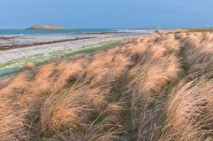 Garrynamenie machair