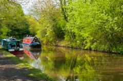Narrowboats on the Stratford Canal