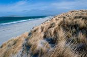 West Beach