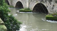 Abingdon, Abingdon Bridge