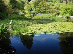 Arduaine Garden