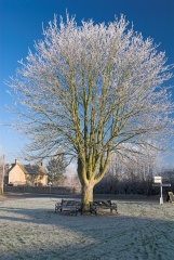 Ascott under Wychwood village green