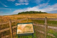 View from south west