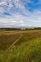 Earthworks looking north