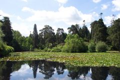 Bedgebury National Pinetum