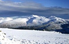 Ben Lawers Nature Reserve