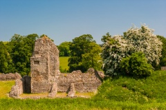 Ruins of the Earl of Cornwall's palace