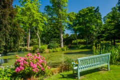 A bench beside a garden pond