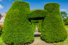 Garden topiary