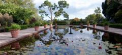 Borde Hill Garden