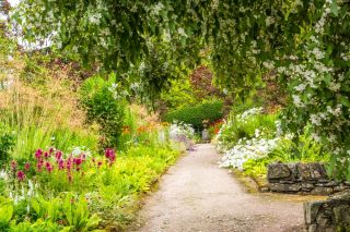 Brockhole Gardens