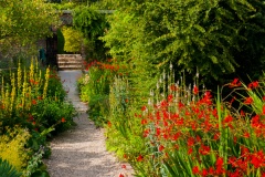Colourful garden walk at Burton Agnes
