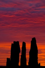 The Callanish stones at Dawn